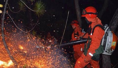 云南香格里拉森林火灾已扑灭 初步确定为烧田