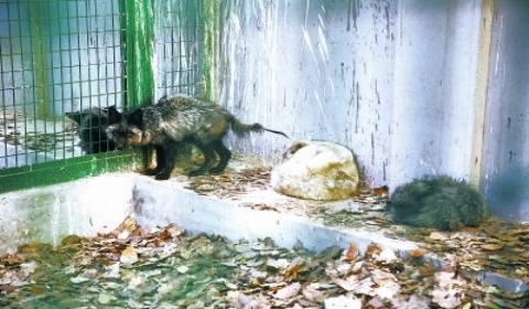  北京放生者被找到  放生380只赔村民4000 - 法律