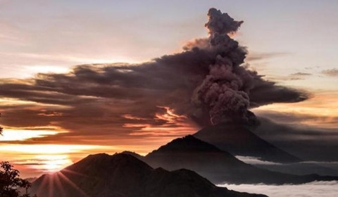 如何确定销售假冒注册商标的商品罪中的销售金