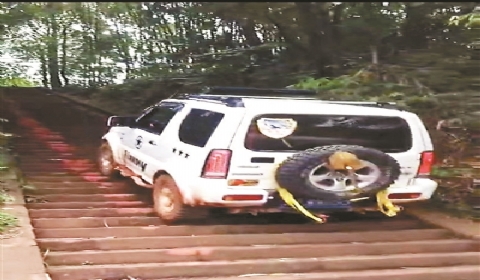 两人驾车 爬梯 损坏古寺台阶被传唤 不去会有什