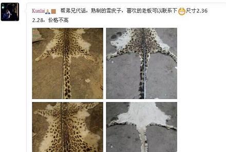 网友发帖举报有人贩卖雪豹、黑长臂猿