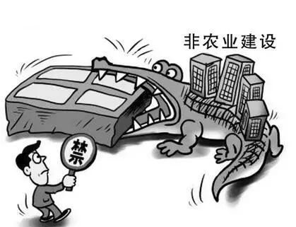 非法占用农用地罪怎么处罚?非法占用农用地罪追诉期是多久?