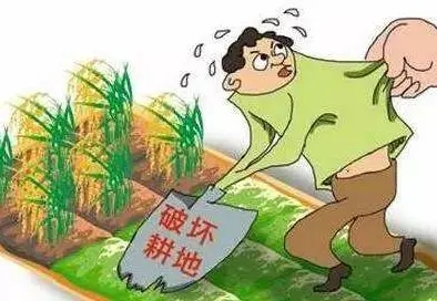 非法占用农用地罪怎么处罚?非法占用农用地罪追诉期是多久?