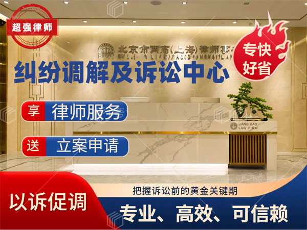 超强律师团队-上海资深律师照片展示