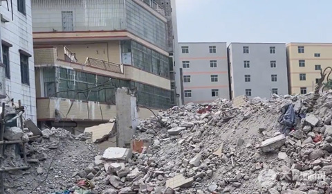 农耕地是否可以栽果树?
