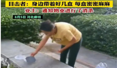女子在小區(qū)放生蟑螂反懟業(yè)主是否違法？