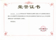2023年度深圳律师知识产权典型案例