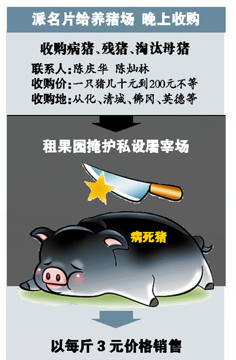 死猪“变”牛肉 以家族式经营作案 广东16案犯领刑