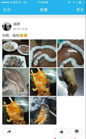 厨师网晒宰杀野生动物照 警方顺藤揪出涉案酒店