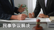 民事争议解决照片展示