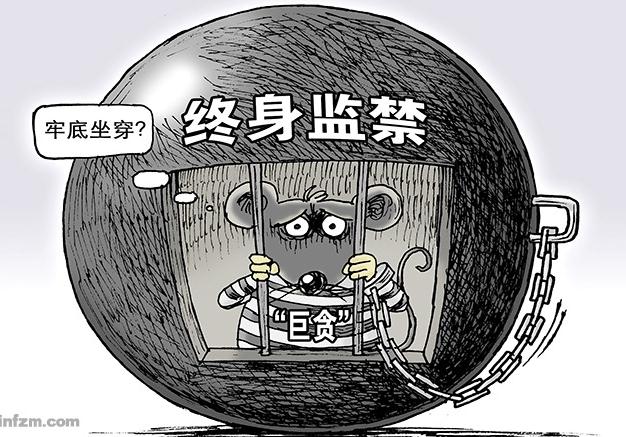在我国终身监禁的类型有几种？终身监禁执行条件是什么？