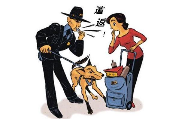 芒果TV违规拍摄 出国被遣返后还能出国？