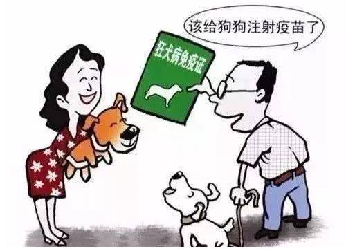 深圳田园犬可办证 深圳宠物证办理流程是怎样？