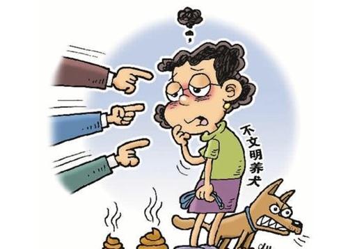 深圳田园犬可办证 深圳宠物证办理流程是怎样？