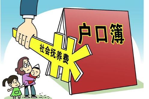 2021社会抚养费征收标准是怎样的？社会抚养费征收程序有哪些？