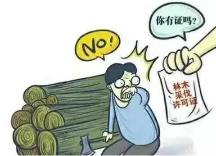 采伐林木需要办什么证？林业采伐许可证找哪个部门？