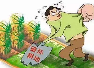 2022非法占用农用地罪立案标准是怎样的?非法占用农用地罪如何量刑?