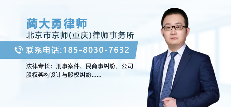 蔺大勇律师
