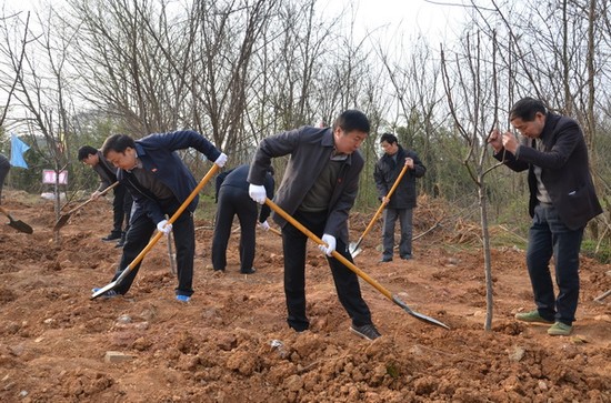 市领导与干群一起参加森林增长工程义务植树活动