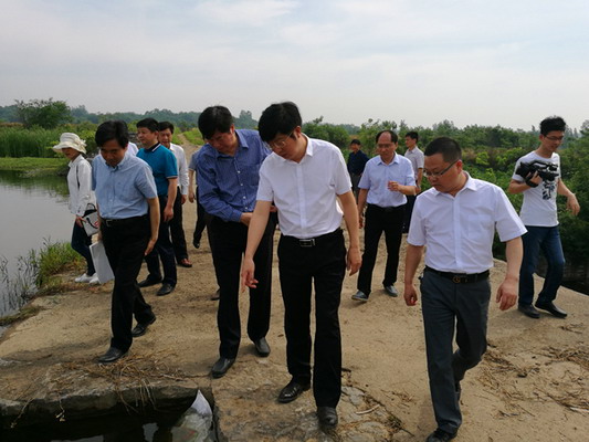 钟祥市,实地察看浰河河长制工作开展情况,检查温峡水库防汛工作