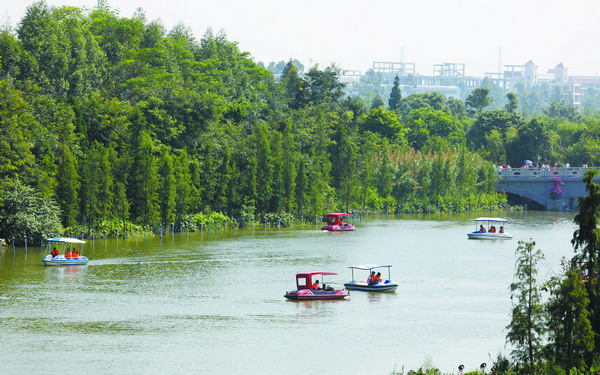 在波光粼粼的湖面上,划桨启航,劈波斩浪……昨日上午,在麻涌镇华阳湖