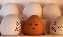 华裔种族歧视问题多严重？