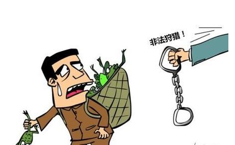 2020年最新非法狩猎罪立案标准是什么怎么量刑