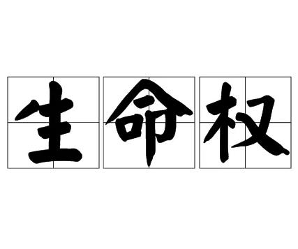 生命权包括哪些内容?侵犯生命权的赔偿有哪些?