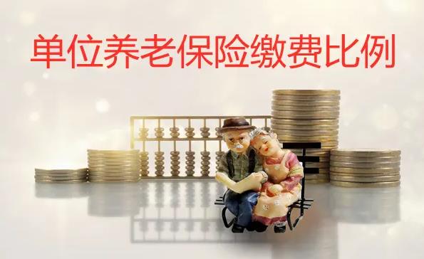 养老保险比例是多少?养老保险有哪些层次?