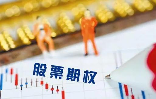 上市公司给了1万期权有用吗?上市之后1万期权是什么?