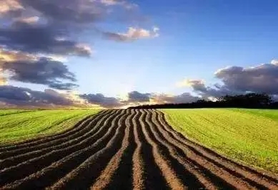 农村土地补贴多少钱一亩?农村土地补贴几月份下来?