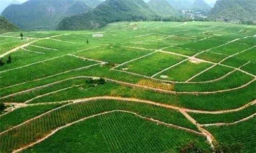 农村土地补贴多少钱一亩?农村土地补贴几月份下来?