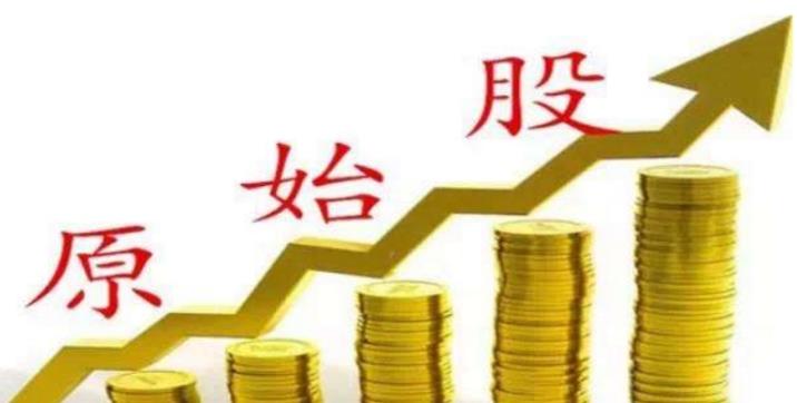 原始股权是什么意思?原始股权怎么买?