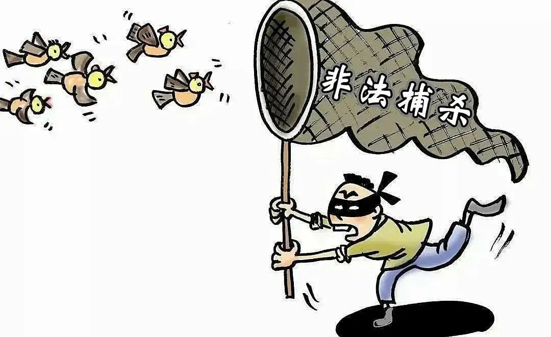 非法狩猎罪立案标准?非法狩猎罪量刑?