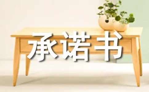 承诺书没有见证人有没有法律效力?承诺书的见证人有没有责任?