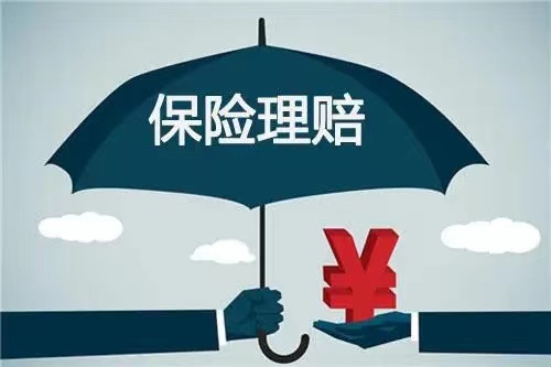 保险理赔图标图片