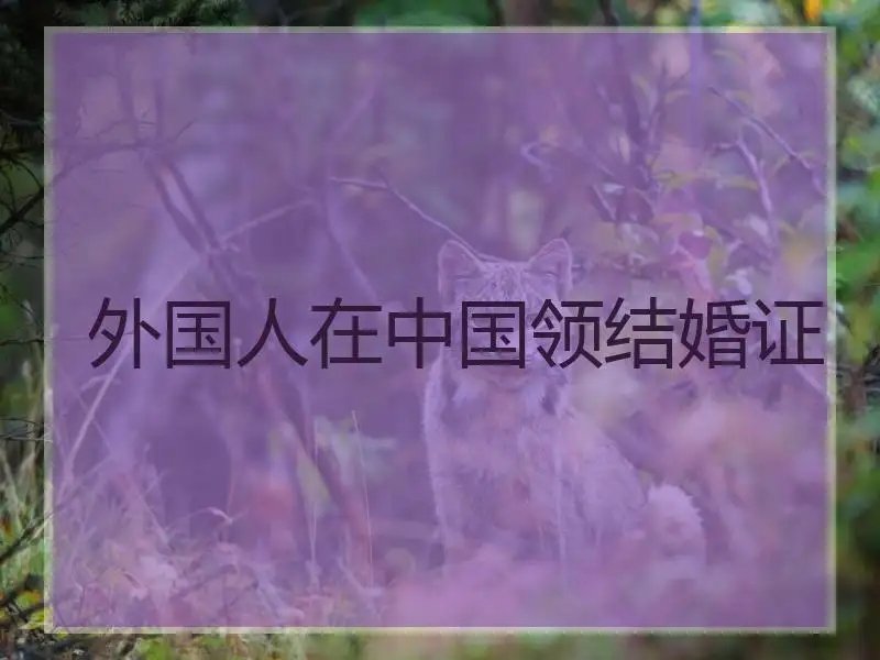外国人和中国人结婚可以获得中国国籍吗?和外国人结婚国籍会变吗?