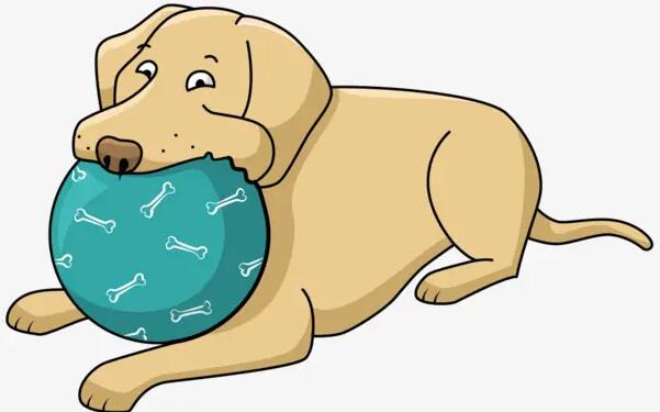 狗被偷了报警有用吗?狗被偷了警察不管怎么办?