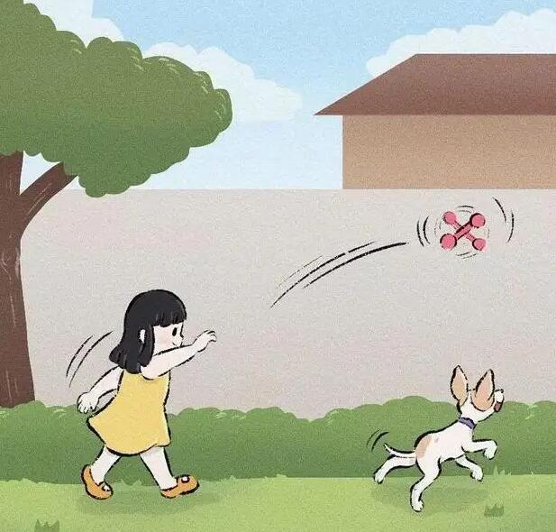 狗被偷了报警有用吗?狗被偷了警察不管怎么办?