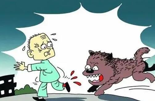 狗被偷了报警有用吗?狗被偷了警察不管怎么办?