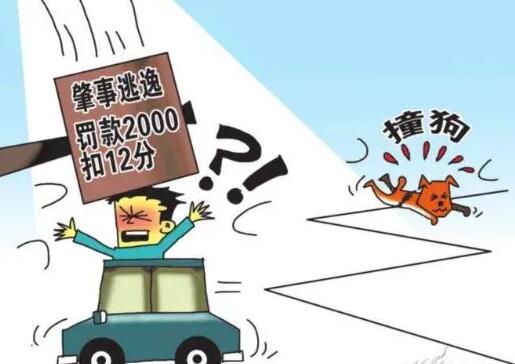 肇事逃逸找不到人怎么办?肇事逃逸交警一般会怎么处理?