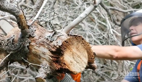 被迫辞职可以领失业保险金吗?