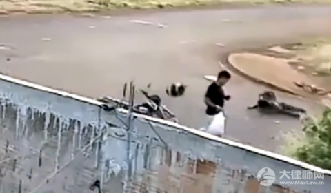 狗被车撞死了肇事人要负责任吗?