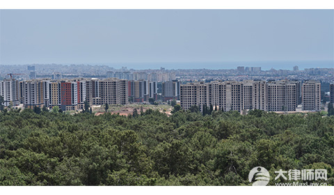 占用耕地种树的怎么处理?