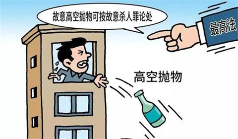 女子被坠落的流浪狗砸死，谁的错？