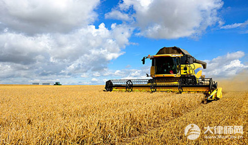 2024农村户口买社保的条件是什么?