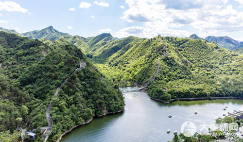 电鱼怎么判刑2024？