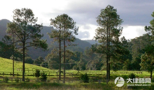 焦虑症能请病假吗?