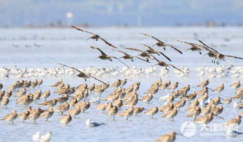 往海里扔漂流瓶犯法吗？