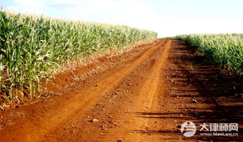 一级轻伤的量刑标准?